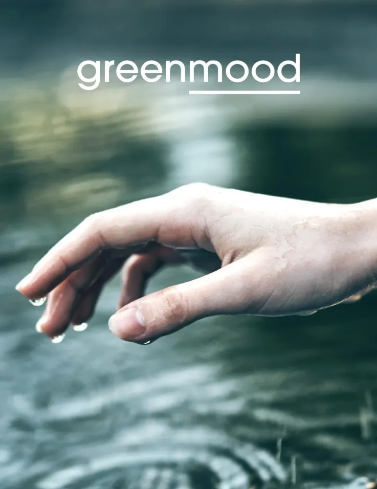 Gel de cuerpo y cabello Ecolabel 400ml | GreenMood 2 en 1