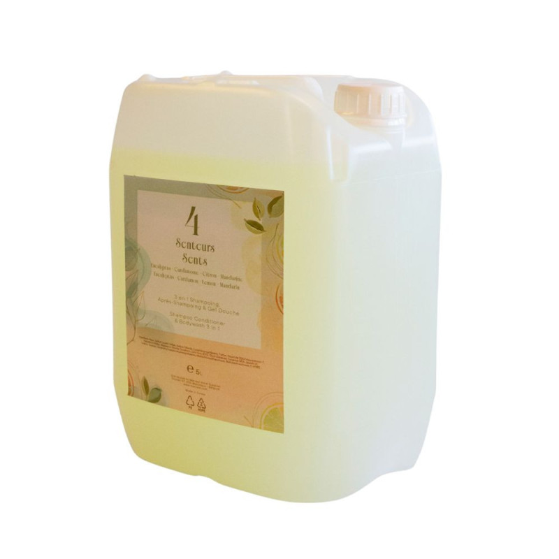 Gel de ducha y champú 3 en 1, 4 aromas, 5 L – Recarga para dispensadores de hoteles y gimnasios